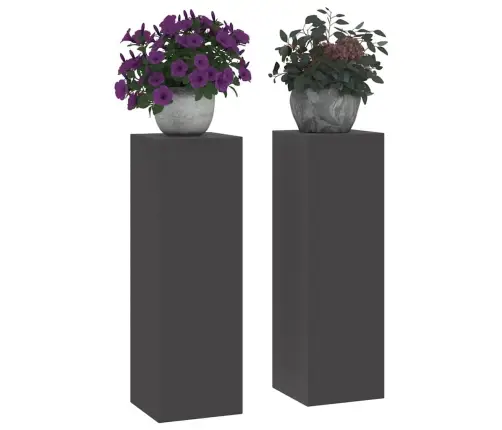 Augalo Stovai 2 Pcs Juoda 24 X 24 X 75 Cm Plienas