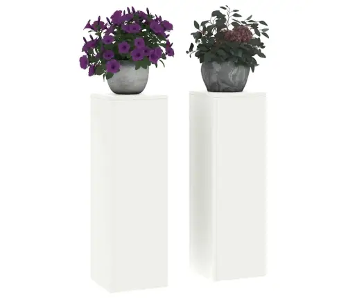 Augu Statīvs 2 Pcs Balts 24 X 24 X 75 Cm Tērauds Vidaxl