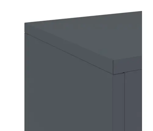 Āra Augu Statīvi Stabs 2 Gabali Antracīts 24X24X75 Cm Tērauds Vidaxl Āra Augu Statīvi Stabs 2 Gabali Antracīts 24X24X75 Cm Tērauds Vidaxl