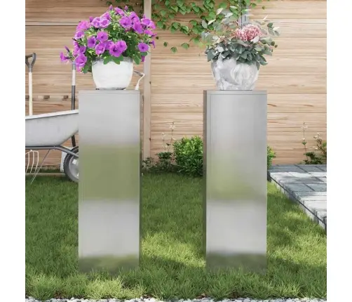 Augalo Stovai 2 Pcs Sidabro 24 X 24 X 75 Cm