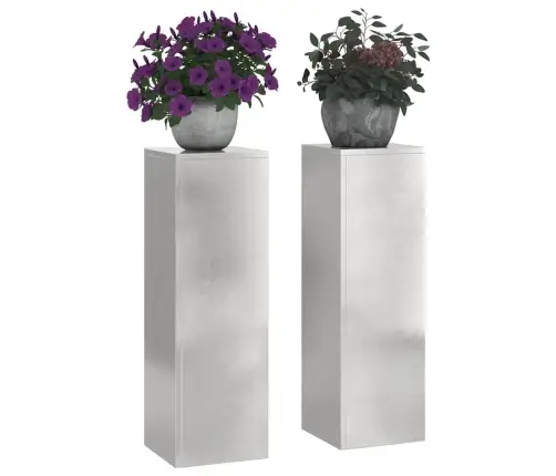 Augalo Stovai 2 Pcs Sidabro 24 X 24 X 75 Cm