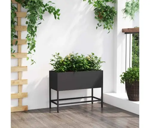 Pacelts Dārza Stādītājs Melna 60 X 26 X 45 Cm Tērauds Vidaxl