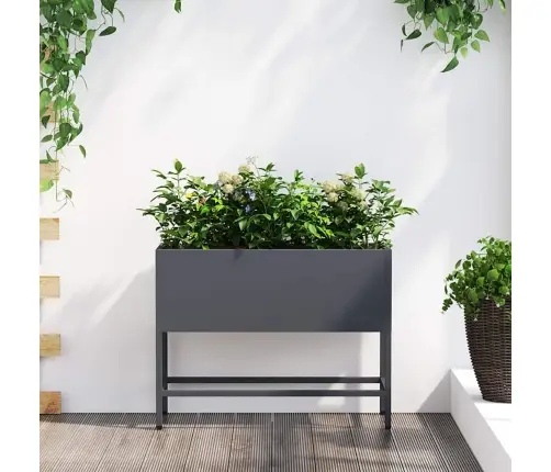 Pacelts Dārza Stādītājs Antracīts 60 X 26 X 45 Cm Tērauds Vidaxl