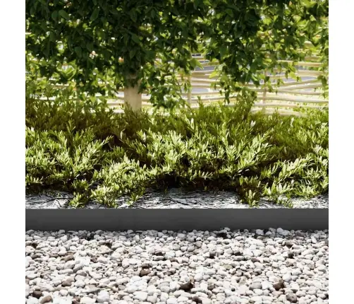 Zāliena Robežas 10 Gab. Melna 100X0.5X15 Cm Tērauds Vidaxl