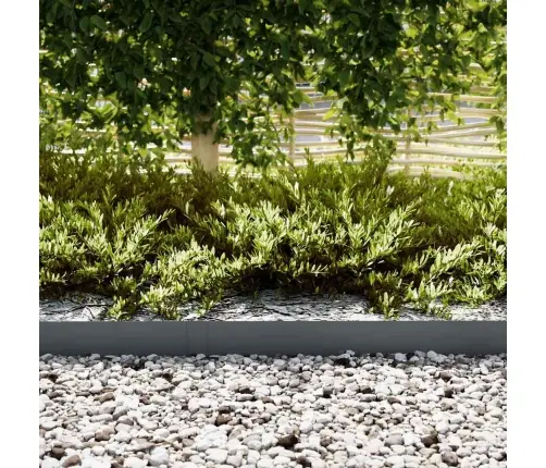 Zāles Malas 20 Gabali Antracīts 100X0,5X15 Cm Plastmasa Vidaxl