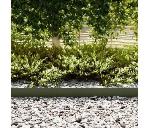 Zāles Malu Ierobežojumi 10 Gabali Olīvu Zaļā 100X0,5X15 Cm Plastmasas Vidaxl