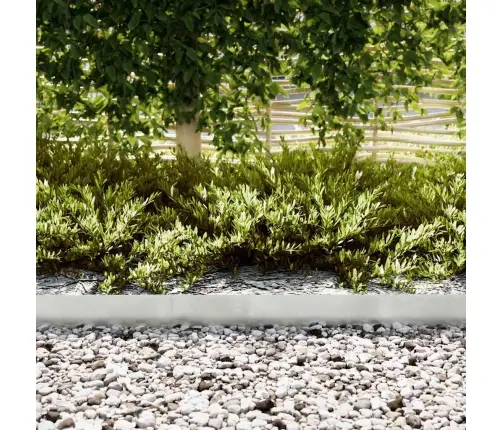 Zāliena Apmalē 10 Gab. 100X0.5X15 Cm Nerūsējošais Tērauds Vidaxl