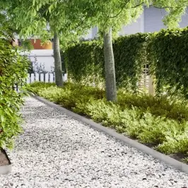 Zāliena Apmale 50 Pcs Sudraba 100 X 0.05 X 20 Cm Vidaxl