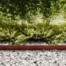 Zāliena Apmales 20 Pcs Brūna 100 X 0.5 X 15 Cm Vidaxl
