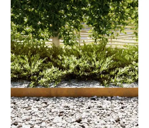 Vejo Kraštas 50 Pcs Ruda 100 X 0.05 X 20 Cm