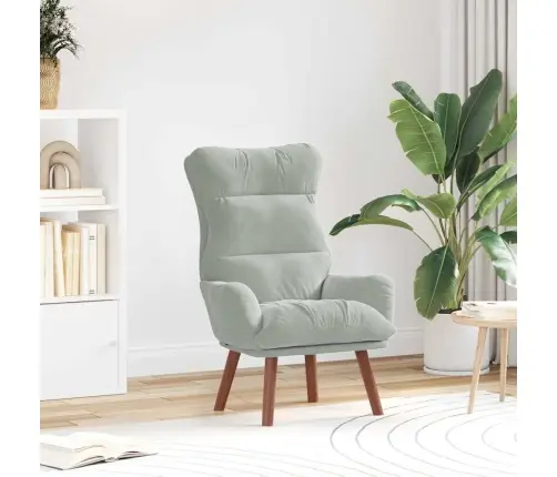 Atpūtas Krēsls Gaiši Pelēks Samts Vidaxl