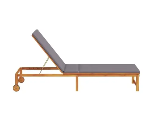 Sauļošanās Krēsls Ar Gaiši Pelēkiem Spilveniem No Masīva Akācijas Koka Vidaxl Sauļošanās Krēsls Ar Gaiši Pelēkiem Spilveniem No Masīva Akācijas Koka Vidaxl