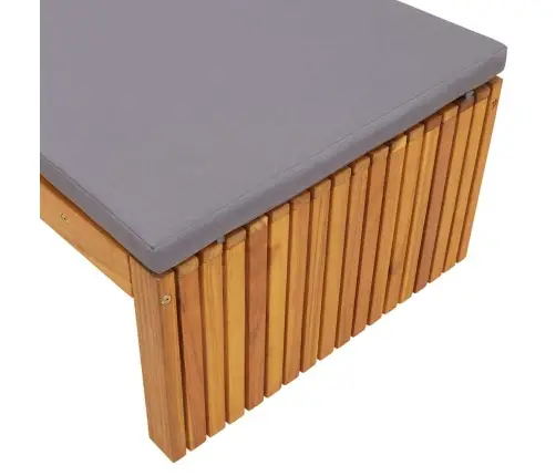 Sauļošanās Krēsls Ar Spilvenu 200X55X30 Cm Cietais Akācija Vidaxl Sauļošanās Krēsls Ar Spilvenu 200X55X30 Cm Cietais Akācija Vidaxl