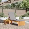 Sauļošanās Krēsls Ar Spilvenu 200X55X30 Cm Cietais Akācija Vidaxl Sauļošanās Krēsls Ar Spilvenu 200X55X30 Cm Cietais Akācija Vidaxl