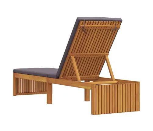 Sauļošanās Krēsls Ar Spilvenu 200X55X30 Cm Cietais Akācija Vidaxl Sauļošanās Krēsls Ar Spilvenu 200X55X30 Cm Cietais Akācija Vidaxl