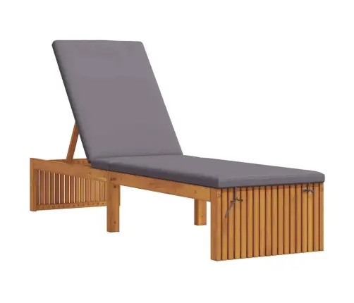 Sauļošanās Krēsls Ar Spilvenu 200X55X30 Cm Cietais Akācija Vidaxl Sauļošanās Krēsls Ar Spilvenu 200X55X30 Cm Cietais Akācija Vidaxl