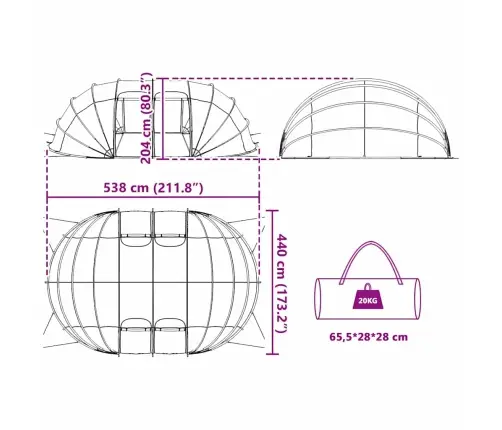 Baseina Telts Kupola Caurspīdīgs 538 X 440 X 204 Cm Pvc Vidaxl