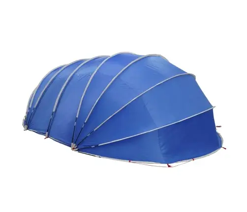 Baseino Palapinė Kupolas Mėlyna 640 X 432 X 205 Cm