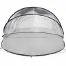 Baseina Telts Kupola Caurspīdīgs 640 X 432 X 205 Cm Pvc Vidaxl