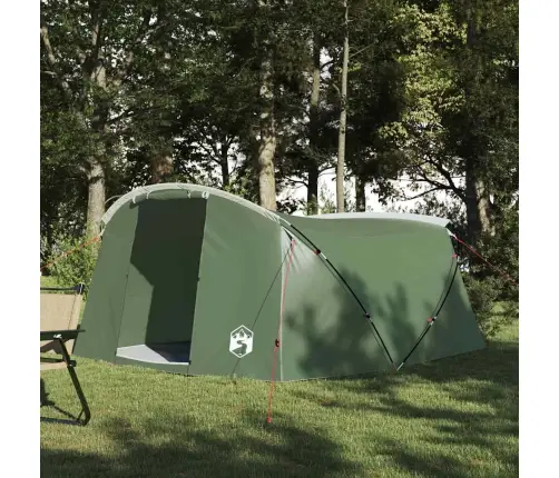 Tunnelitelk Katusega Roheline Ja Valge 318 X 275 X 140 Cm