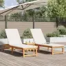 Saulės Gultas Su Pagalve 2-Asmuo 2 Pcs Ruda 53 X 202 X 89Cm
