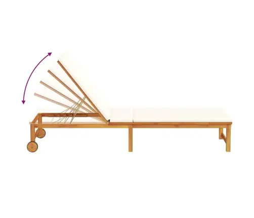 Saulės Gultas Su Pagalve 2-Asmuo 2 Pcs Ruda 53 X 202 X 89Cm