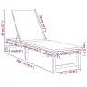 Saulės Gultas Su Pagalve 2-Asmuo 2 Pcs Ruda 53 X 202 X 89Cm