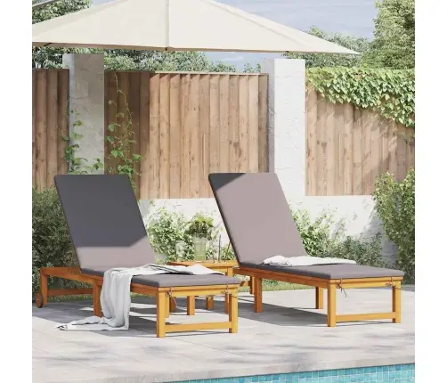 Saulės Gultas Su Pagalve 2-Asmuo 2 Pcs Ruda 53 X 202 X 89Cm