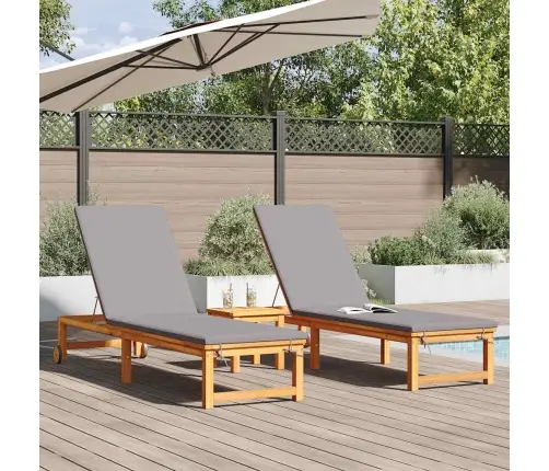 Saulės Gultas Su Pagalve 2-Asmuo 2 Pcs Ruda 53 X 202 X 89Cm