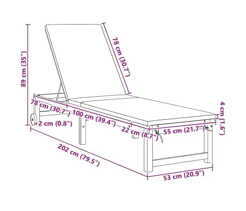 Saulės Gultas Su Pagalve 2-Asmuo 2 Pcs Ruda 53 X 202 X 89Cm