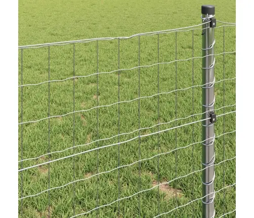 Eiro Žogs 1,6X10 M Cinkots Tērauds Vidaxl