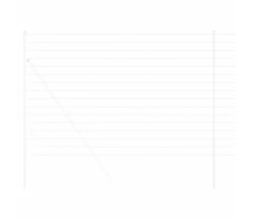 Eiro Žogs 1.6X10 M Galvanizēts Tērauds Vidaxl