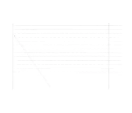 Euro Tvora 1,6 X 10 M Pvc Padengta Geležis