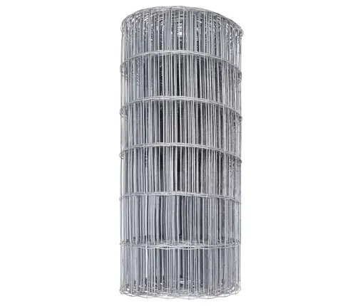 Euro Tvora 0,6 X 25 M Pvc Padengta Geležis