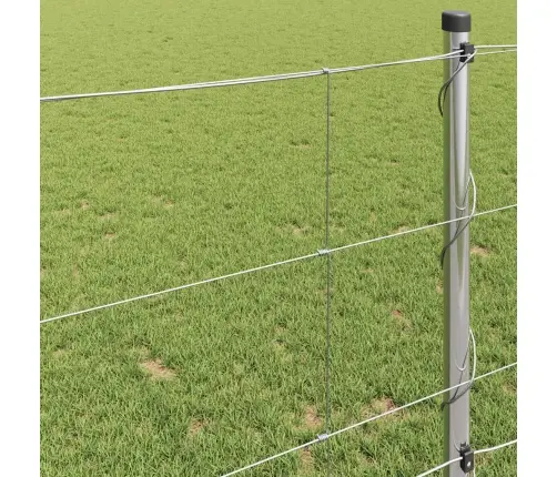 Looduslik Aed Kuuma Tsinkimisega 1000 X 100 X 0,18 Cm Raud