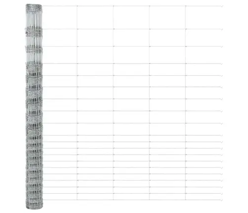 Lauku Žogs 1.6X10 M Cinkots Tērauds Vidaxl