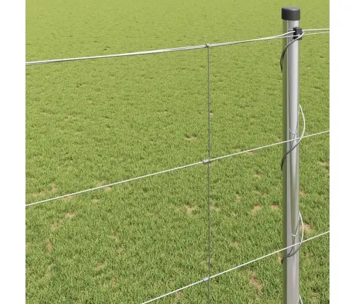 Karjamaa-Aed Hõbedane 25 X 1,4 M Tsingitud Teras