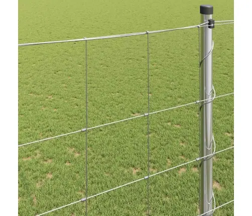 Lauku Žogs 1.6X25 M Cinkots Tērauds Vidaxl