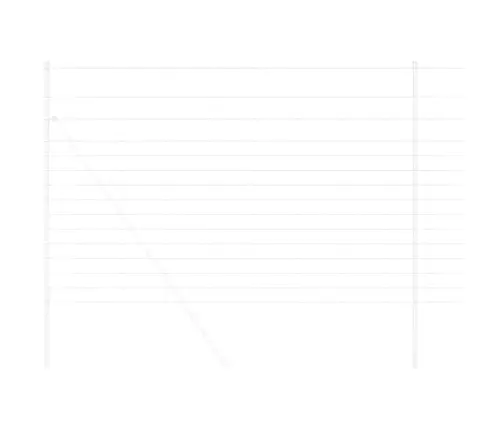 Lauku Žogs 1.6X50 M Cinkots Tērauds Vidaxl