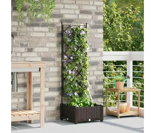 Aia Istutuspot Pruun 40 X 40 X 125,5 Cm Teras