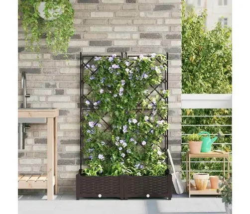 Dārza Stādītājs Ar Trellis 2 Gab Brūns 80X40X125.5 Cm Vidaxl