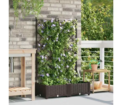 Dārza Stādītājs Ar Trellis 2 Gab Brūns 80X40X125.5 Cm Vidaxl