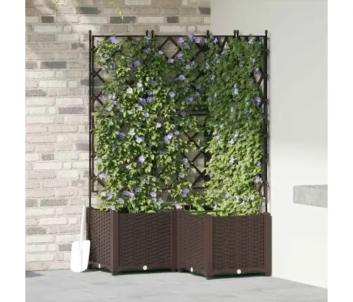 Dārza Stādītājs Ar Trelli 3 Gab Brūnā Krāsā 80X80X143 Cm Vidaxl