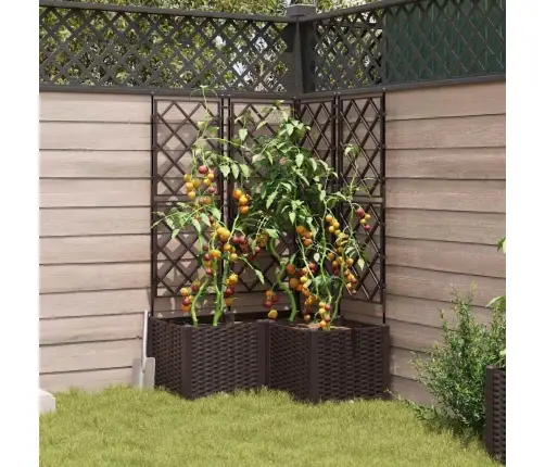 Dārza Stādītājs Ar Trelli 3 Gab Brūnā Krāsā 80X80X143 Cm Vidaxl