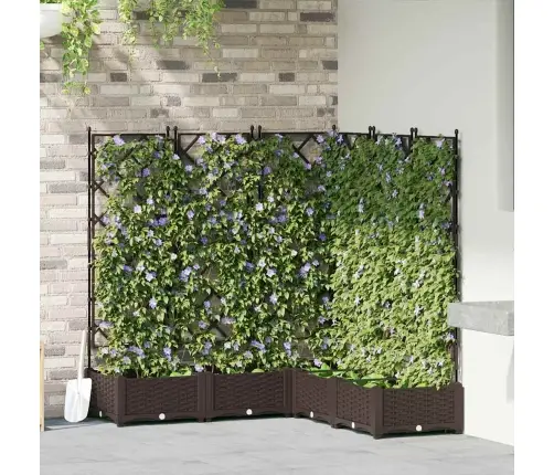 Dārza Stādītājs Ar Trelli 5 Gabali Brūns 120X120X125,5 Cm Vidaxl