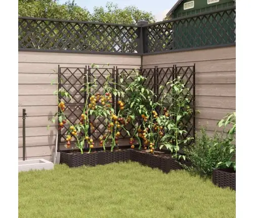 Dārza Stādītājs Ar Trelli 5 Gabali Brūns 120X120X125,5 Cm Vidaxl