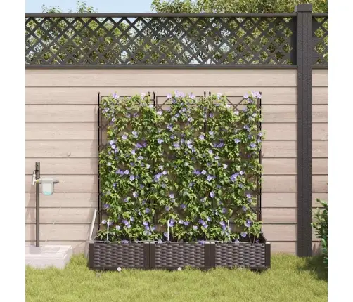 Dārza Podi 1 Gb Režģa Raksts Brūna 120 X 40 X 126 Cm Plastmasa Vidaxl