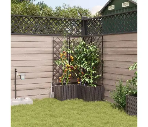 Dārza Podi 1 Gb Režģa Raksts Ar Uzglabāšanu Brūna 80 X 80 X 142 Cm Plastmasa Vidaxl