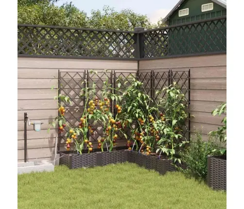 Dārza Podi 1 Gb Režģa Raksts Brūna 120 X 120 X 126 Cm Plastmasa Vidaxl