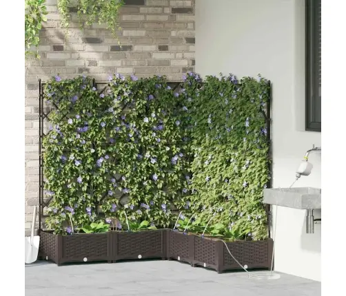 Dārza Podi 1 Gb Režģa Raksts Brūna 120 X 120 X 126 Cm Plastmasa Vidaxl